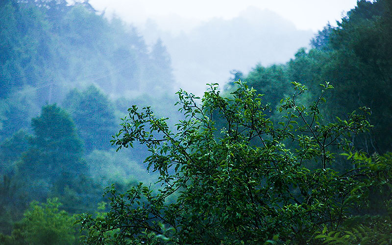Кармалюкова гора в дождь