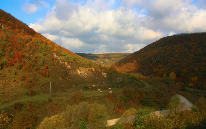 Дорога між пагорбами