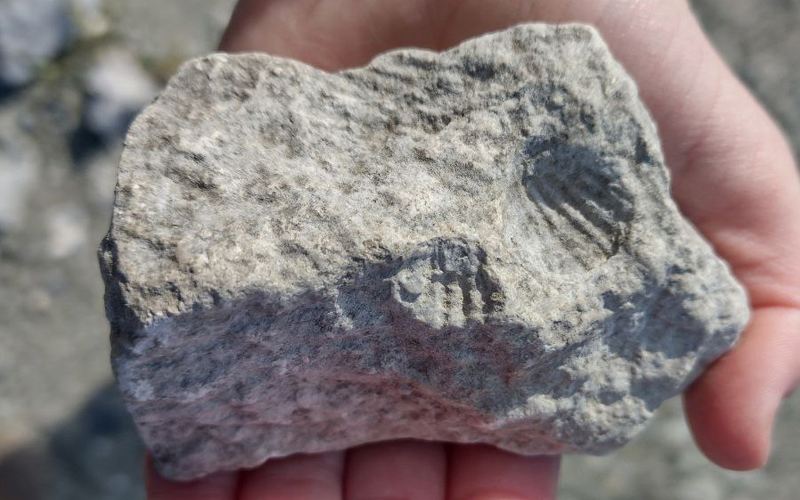 камень времен сарматского моря